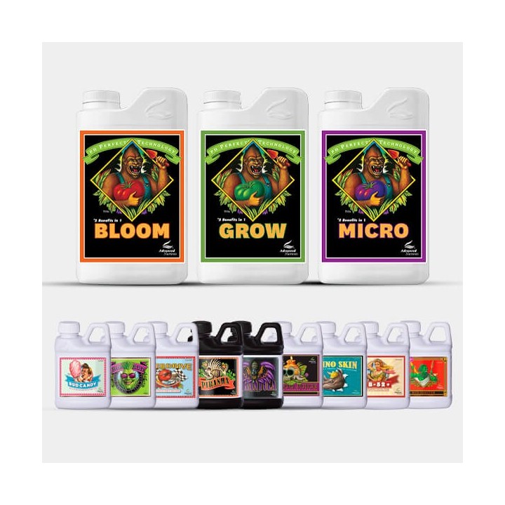 AN Professional Pack