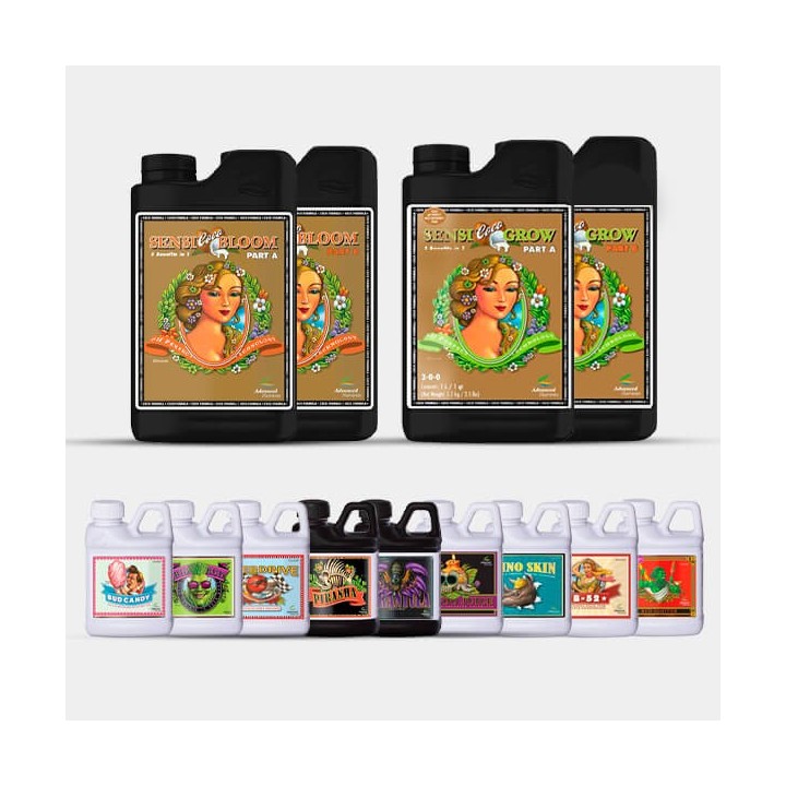 AN Professional Pack