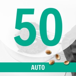 50 Semillas Auto Fem.