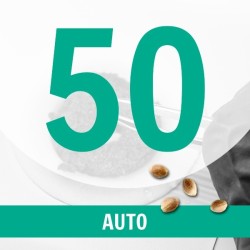 50 Semillas Auto Fem.
