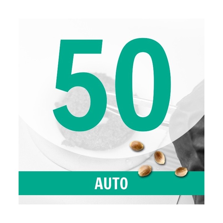 50 Semillas Auto Fem.