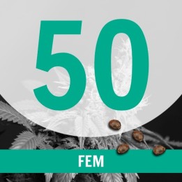 50 Semillas Temporada Fem.