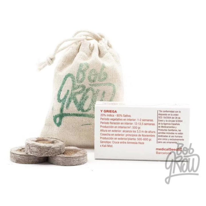 Y Griega FeminizadaMedical Seeds
