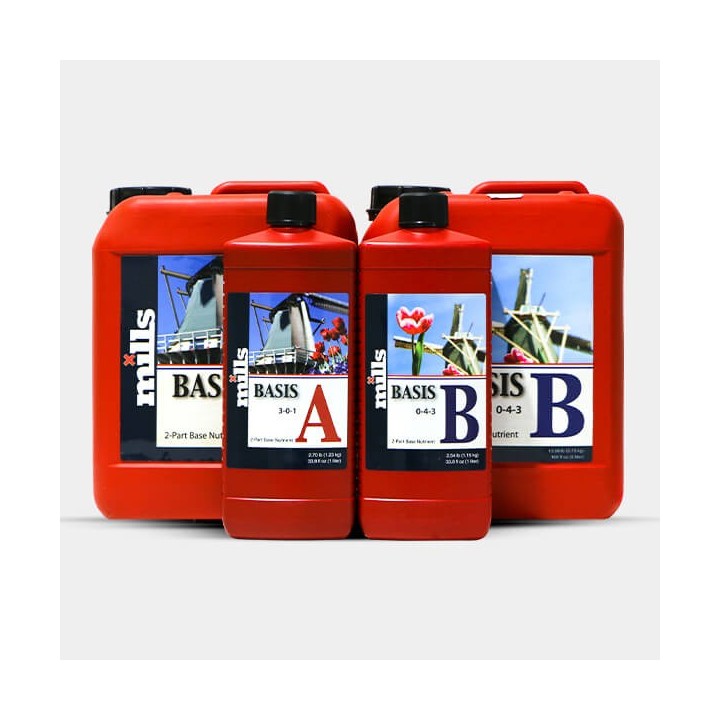 Basis A+B