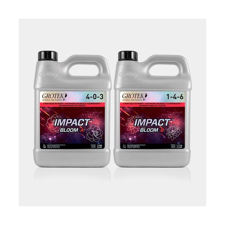 Impact Bloom A+B