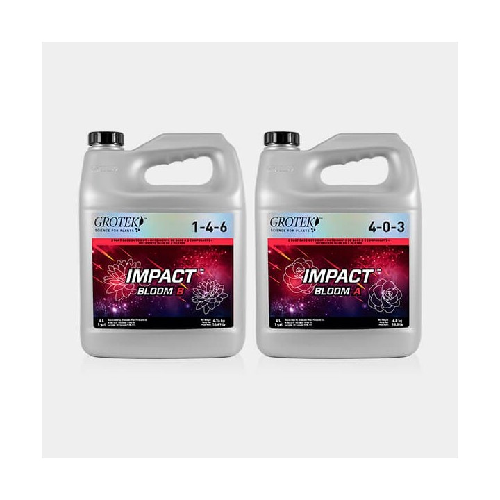 Impact Bloom A+B