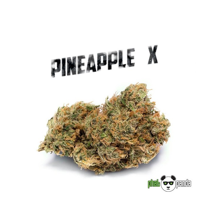 Pineapple X