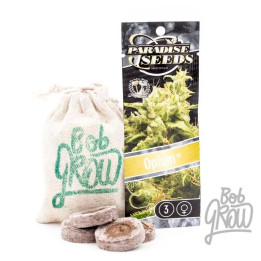 Opium Feminizada 【Paradise Seeds】