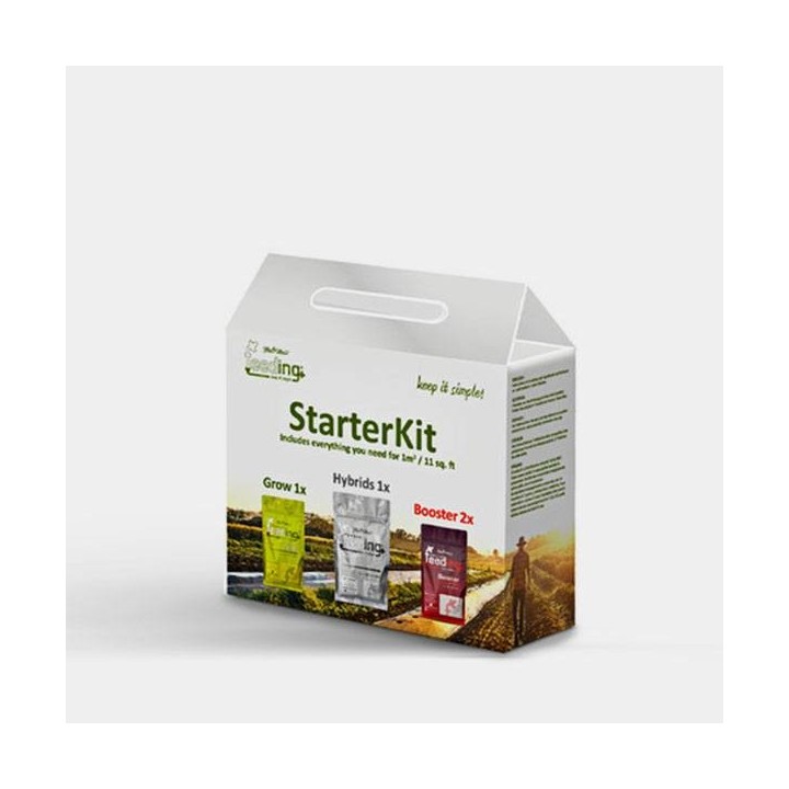 Mineral Starter Kit