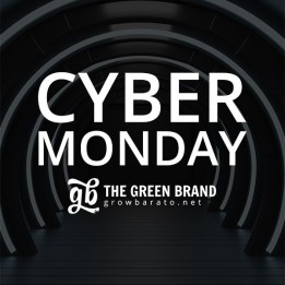 Regalo promoción Cyber Monday