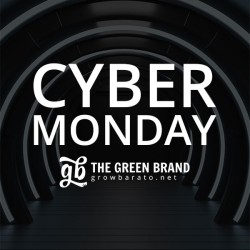 Regalo promoción Cyber Monday