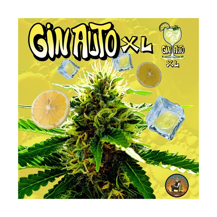 Gin Auto XL