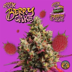 Pink Berry Cake