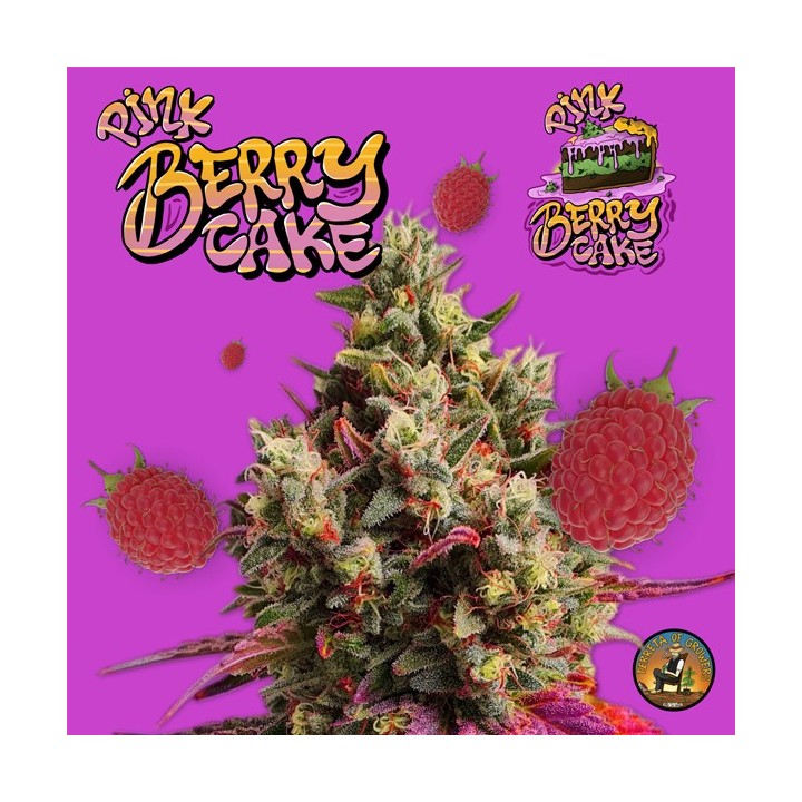 Pink Berry Cake
