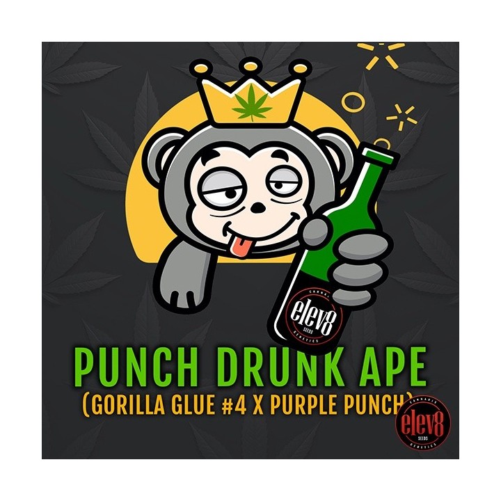 Punch Drunk Ape