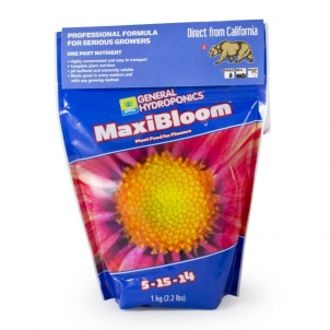 Maxi bloom