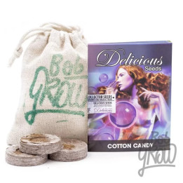  Cotton Candy Feminizada【Delicious Seeds】