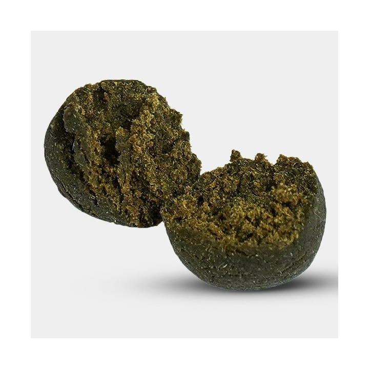 Charas Mila The Queen of Hash x GB