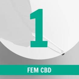 1 Semilla CBD Fem.