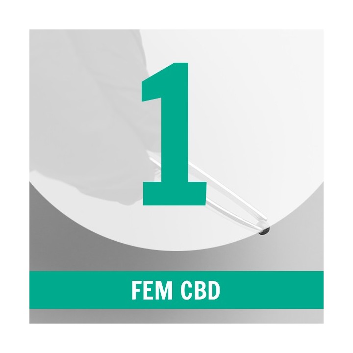 1 Semilla CBD Fem.