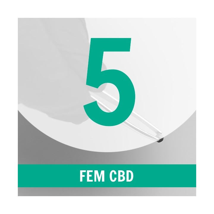 5 Semillas CBD Fem.