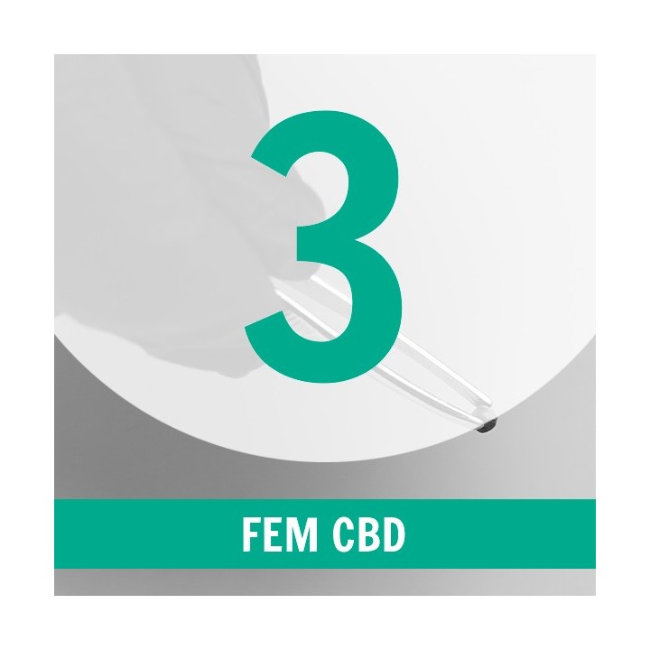 3 Semillas CBD Fem.