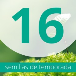 Regalo 16 semillas FEM
