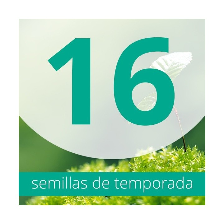 Regalo 16 semillas FEM