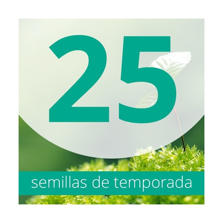 Regalo 25 semillas FEM