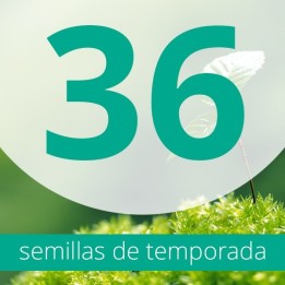 Regalo 36 semillas FEM