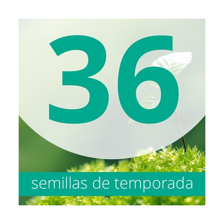 Regalo 36 semillas FEM