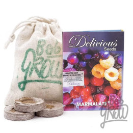   Marmalate Feminizada 【Delicious Seeds】