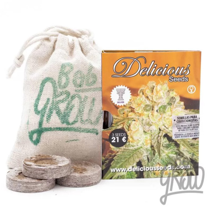   Marmalate Feminizada 【Delicious Seeds】