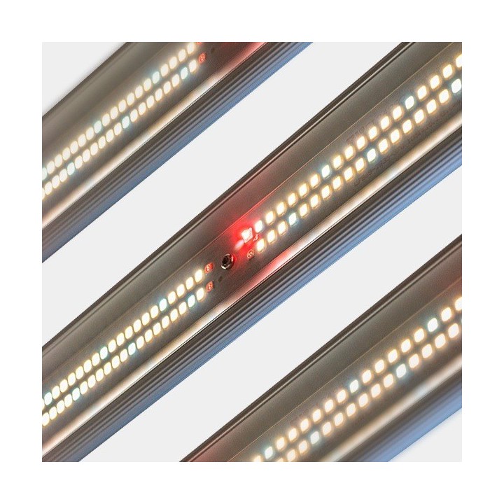 Sistema LED Regulable 600W V3.0 GB Lighting