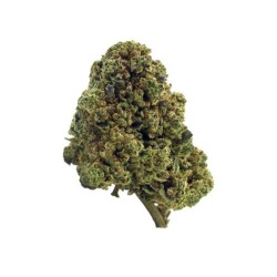 Flores The Tree CBD Indoor 'Skywalker OG'