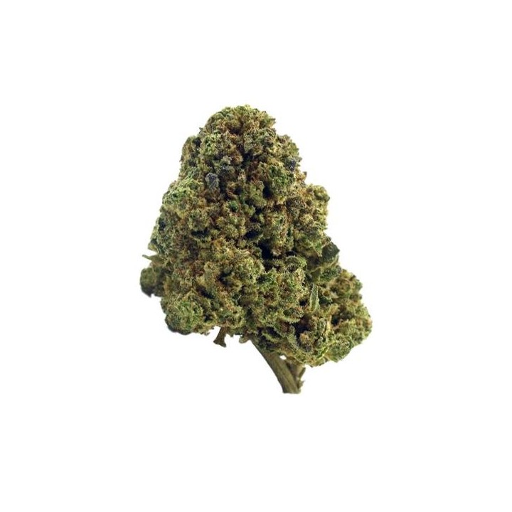 Flores The Tree CBD Indoor 'Skywalker OG'