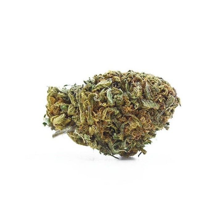 Flores The Tree CBD Outdoor 'Super Boof'