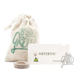 Nefertiti Feminizada【Pyramid Seeds】
