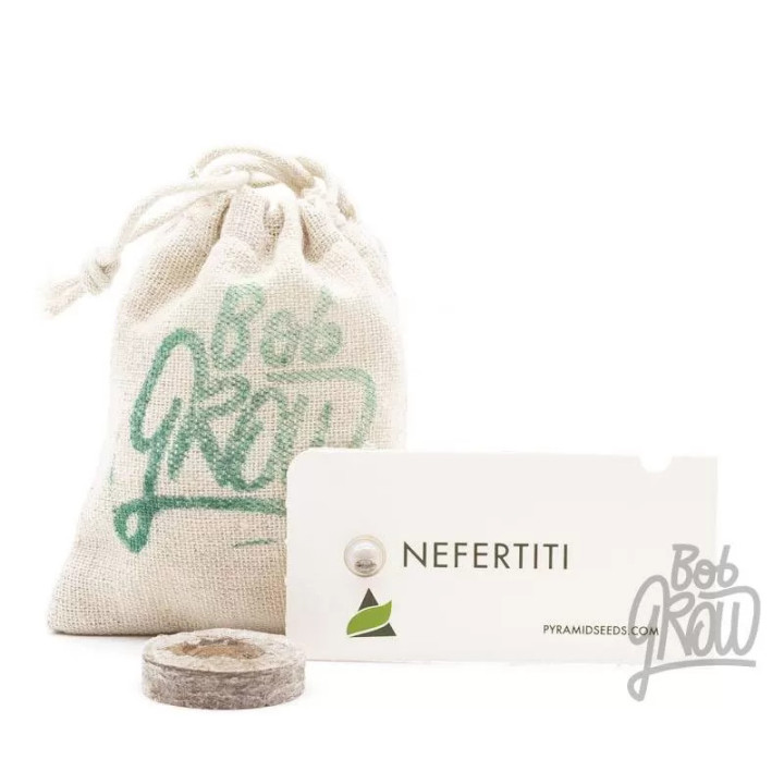 Nefertiti Feminizada【Pyramid Seeds】