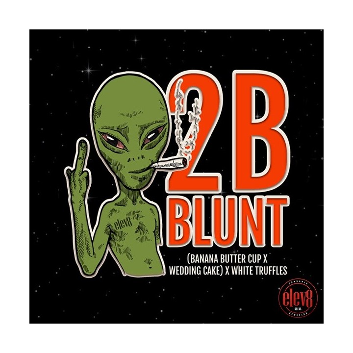 2B Blunt