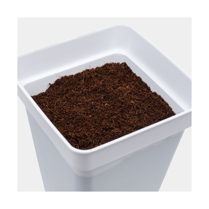 Coco Mix GB Nutrients