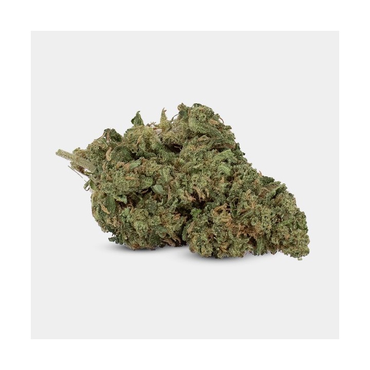 Flores CBD GB Outdoor 'OG Kush'