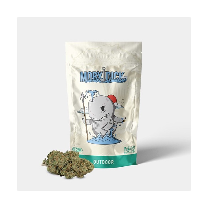 Flores CBD GB Outdoor 'Moby Dick'