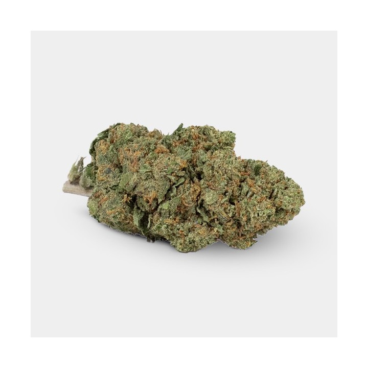 Flores CBD GB Outdoor 'Moby Dick'