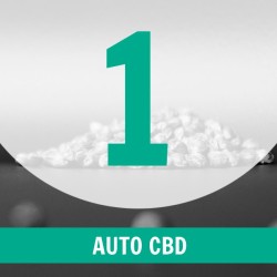 1 Semilla Auto CBD