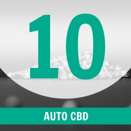 10 Semillas Auto CBD
