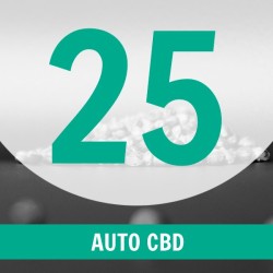25 Semillas Auto CBD