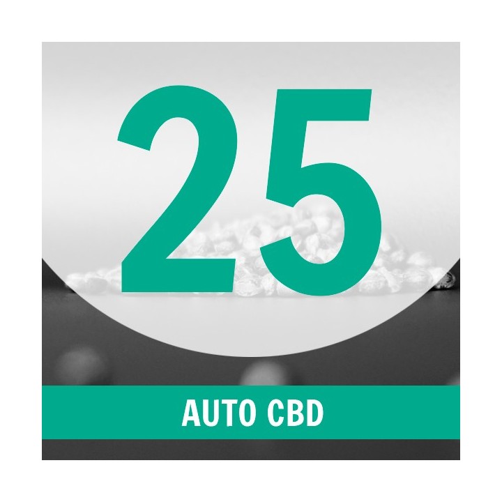25 Semillas Auto CBD