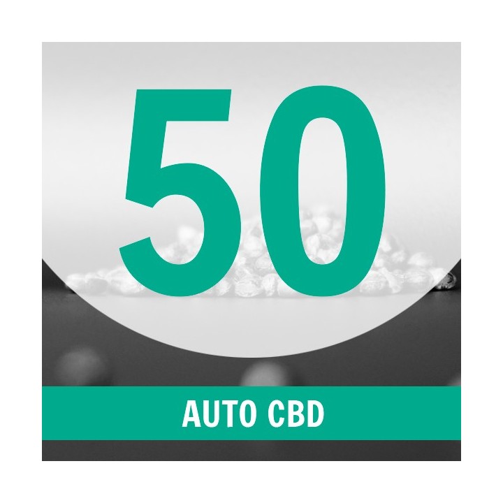 50 Semillas Auto CBD