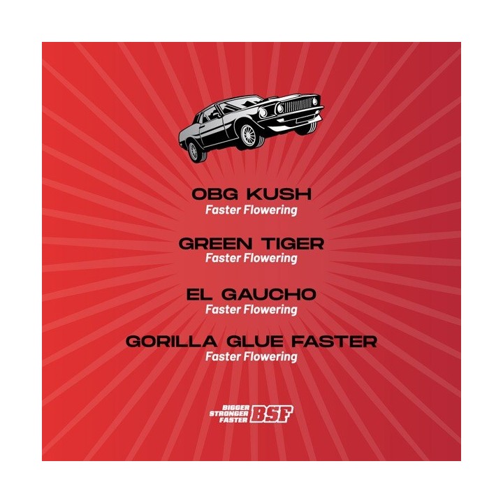Faster and Furious Faster Mix